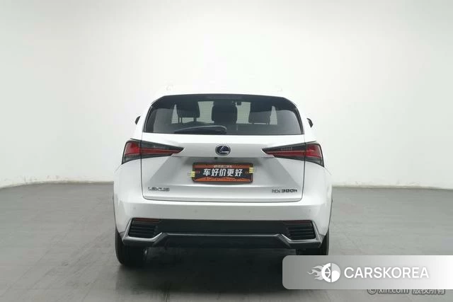 Lexus NX 2018 Белый из Китая