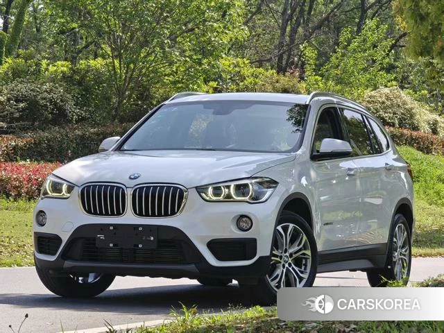 BMW X1 id 4209199 из Китая