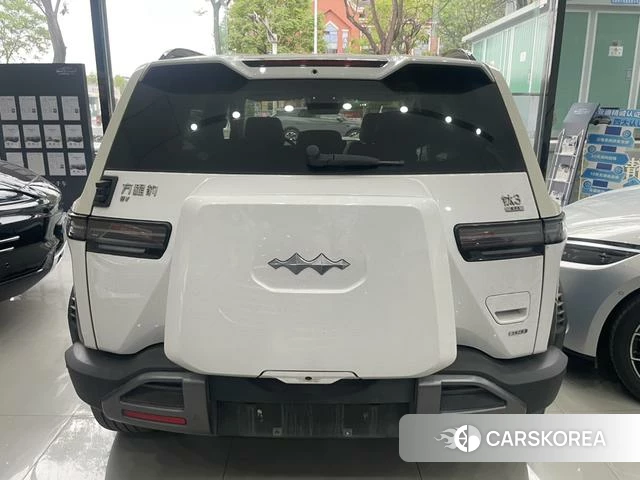 Leopard Titanium 3 2025 Другой из Китая