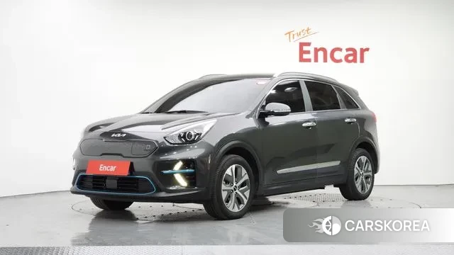 Kia Niro EV 2021 Серый из Кореи