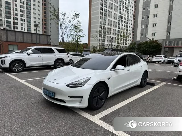 Tesla Model 3 2020 Белый из Кореи