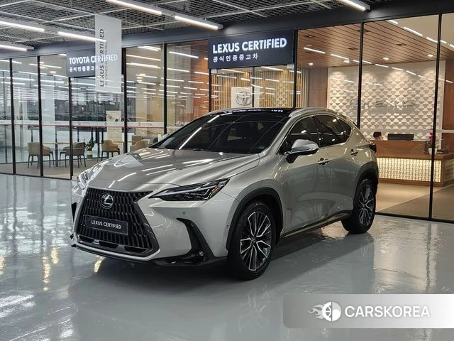 Lexus NX350h Second generation 2024 Песочный из Кореи