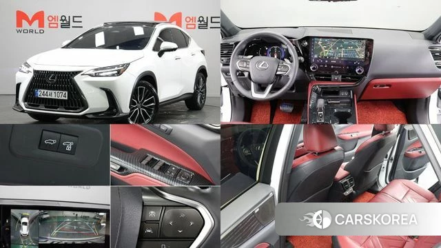 Lexus NX350h Second generation 2025 Белый из Кореи