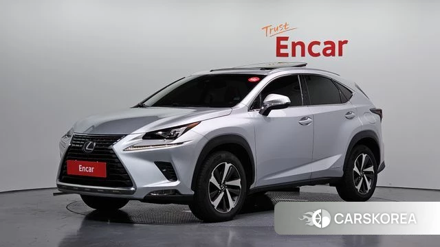 Lexus NX300h 2018 Серебряный из Кореи