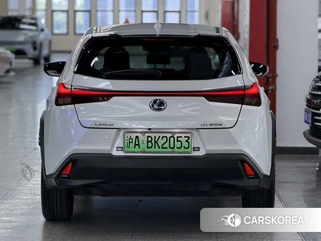 Lexus UX EV 2023 Белый из Китая