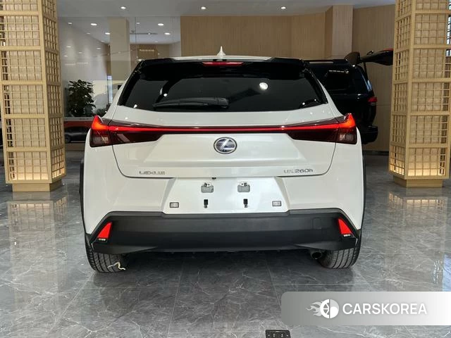 Lexus UX 2021 Белый из Китая