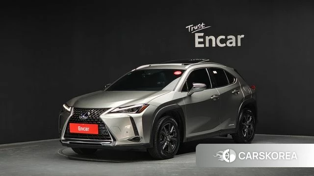 Lexus UX250h 2020 Серебристо-серый из Кореи