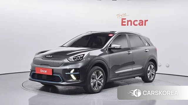 Kia Niro EV 2021 Серый из Кореи