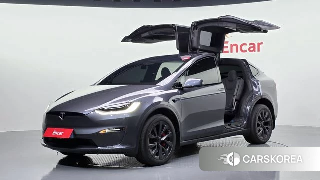 Tesla Model X 2023 Серый из Кореи