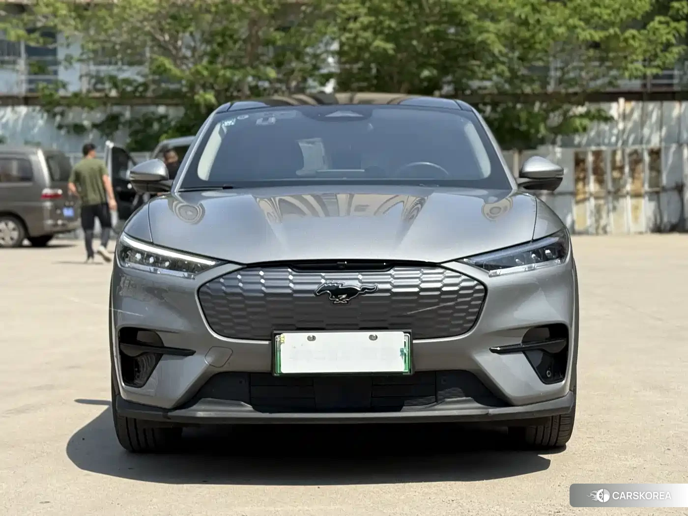 Ford Electric horse 2022 Silver/gray из Китая