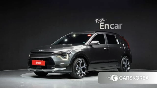 Kia Di Ol Nu Niro 2024 Серый из Кореи