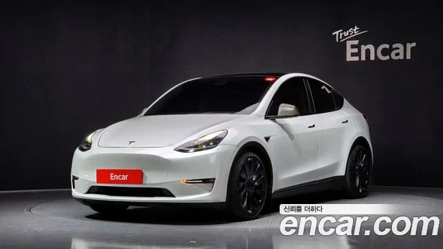 Tesla Model Y 2021 Белый из Кореи