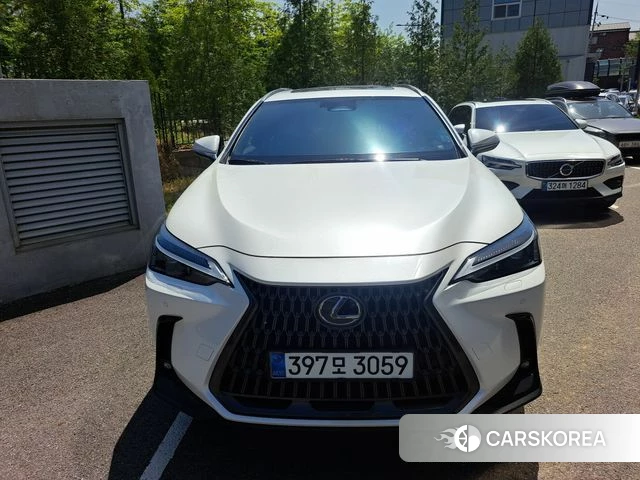 Lexus NX350h Second generation 2024 Белый из Кореи