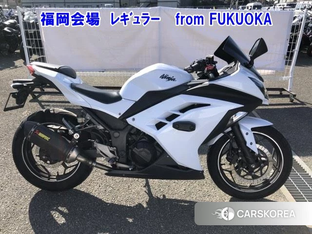 Проданный Kawasaki NINJA 250 2013 из Японии, фото 2