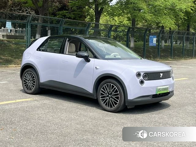 firefly firefly Unknown 2025 Фиолетовый из Китая