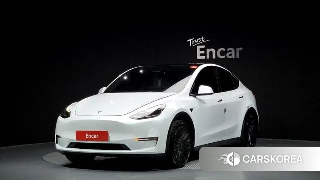 Tesla Model Y 2021 Белый из Кореи