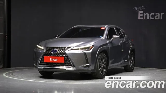 Lexus UX250h 2020 Серый из Кореи