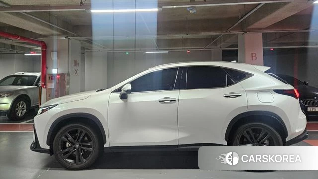 Lexus NX350h Second generation 2025 Белый из Кореи