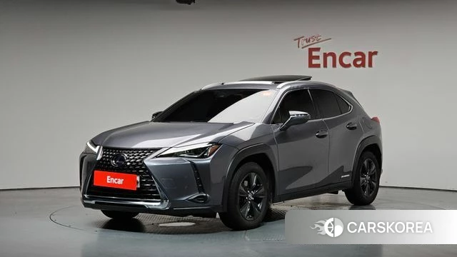 Lexus UX250h 2019 Серый из Кореи