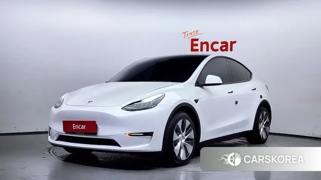 Tesla Model Y 2021 Белый из Кореи