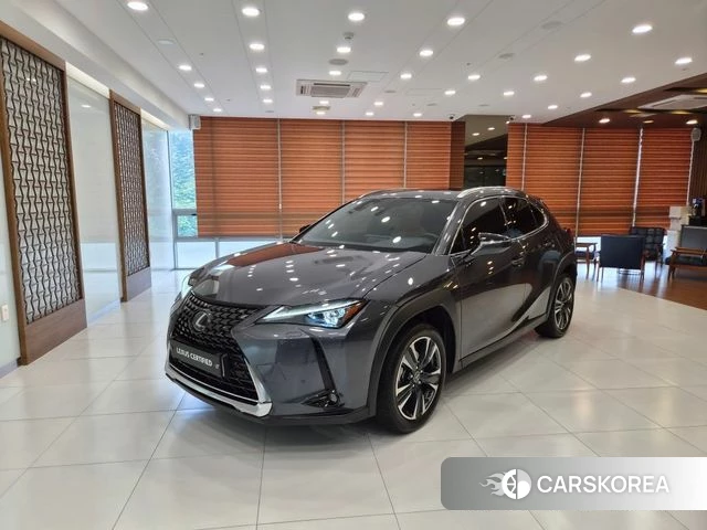 Lexus UX250h 2024 Серый из Кореи