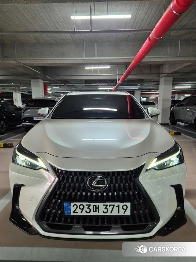 Lexus NX350h Second generation 2025 Белый из Кореи