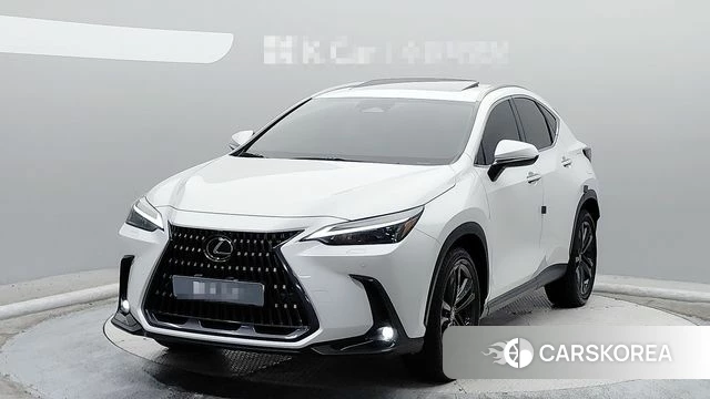 Lexus NX350h Second generation 2024 Белый из Кореи