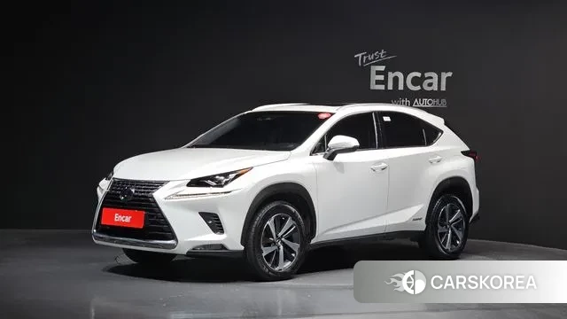 Lexus NX300h 2018 Белый из Кореи