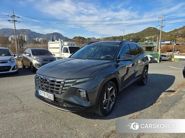 Hyundai The New Tucson (NX4) 2023 Цвет тростника из Кореи