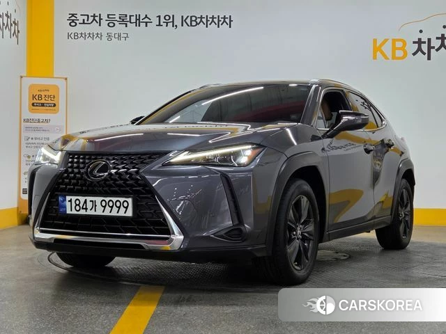 Lexus UX250h 2023 Серый из Кореи