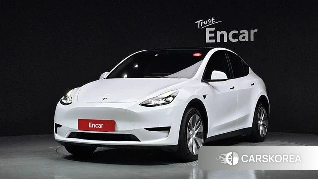 Tesla Model Y 2023 Белый из Кореи