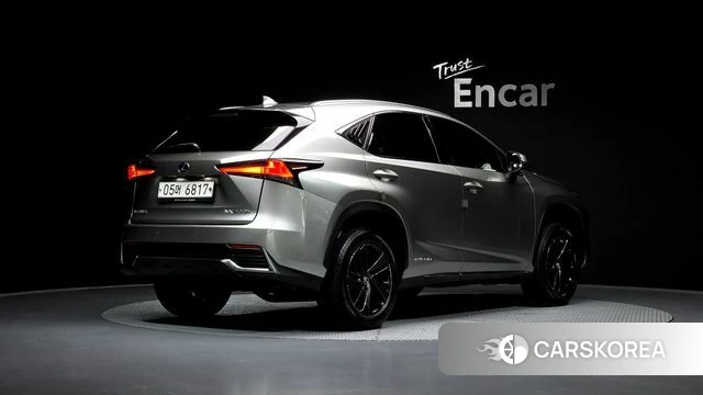 Lexus NX300h 2018 Песочный из Кореи
