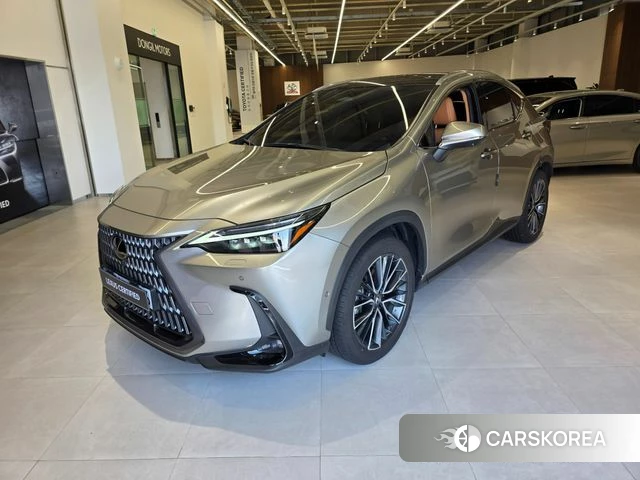 Lexus NX350h Second generation 2025 Песочный из Кореи