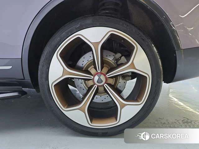 Denza X PHEV 2021 Фиолетовый из Китая