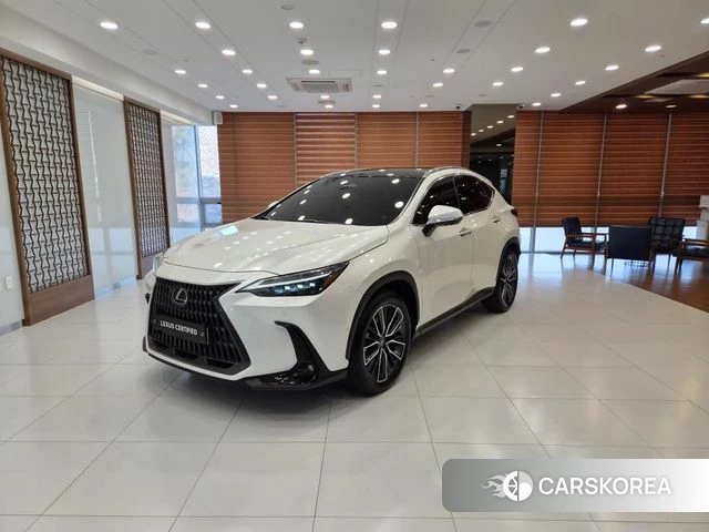 Lexus NX350h Second generation 2024 Жемчужный цвет из Кореи