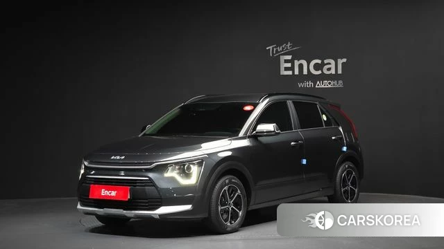 Kia Di Ol Nu Niro 2024 Серый из Кореи