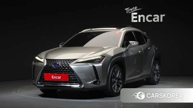 Lexus UX250h 2019 Серебристо-серый из Кореи