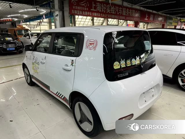 Euler White cat 2021 Белый из Китая