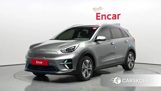 Kia Niro EV 2021 Серый из Кореи