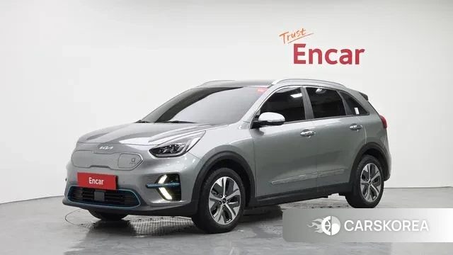 Kia Niro EV 2021 Серебряный из Кореи