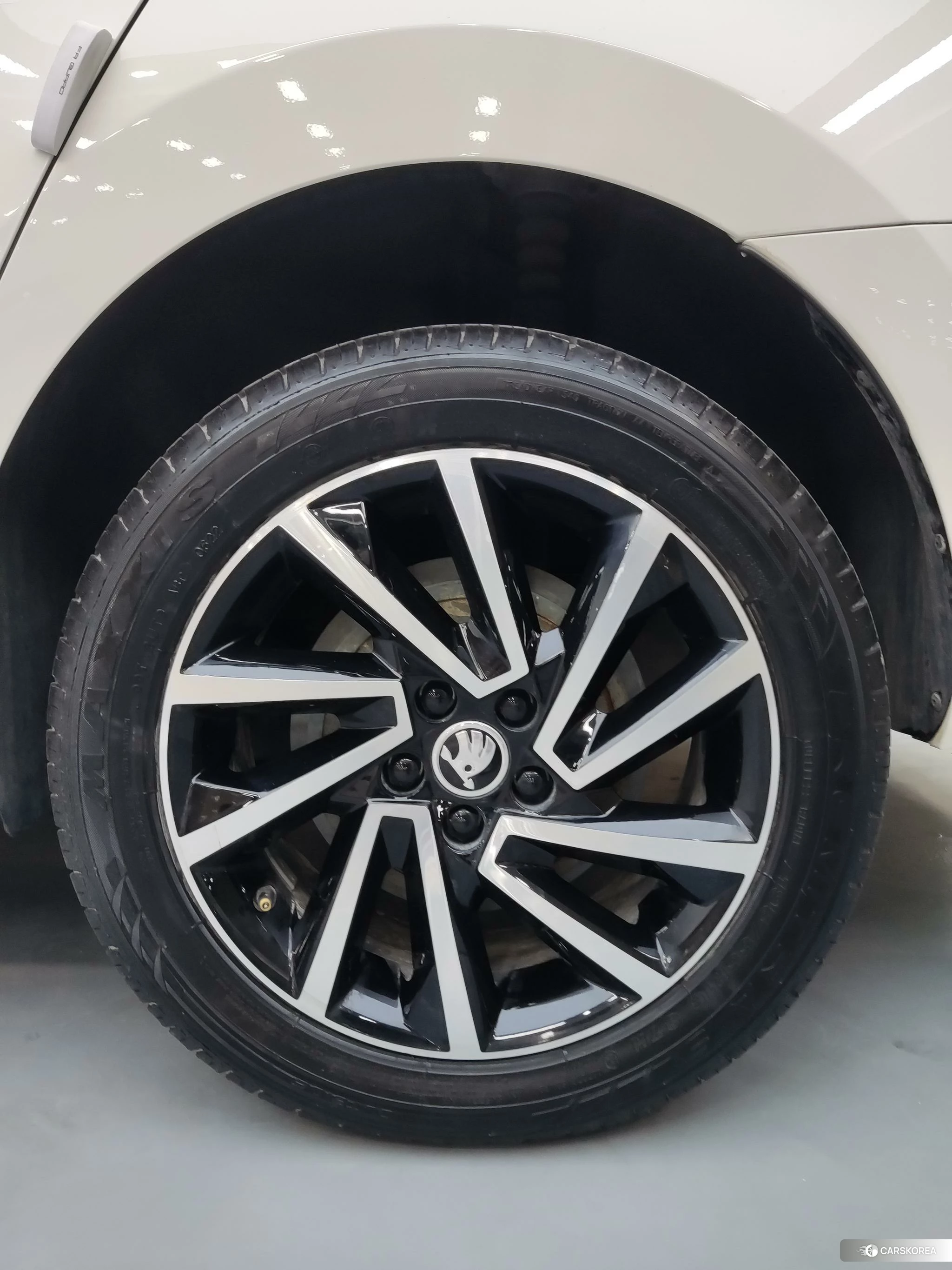 Skoda Xin Rui 2022 Белый из Китая