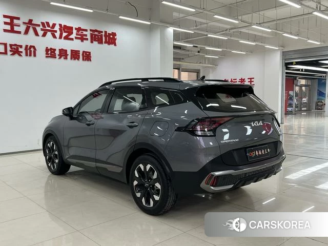 Kia Lion Platinum expands the world 2024 Темно-серый из Китая