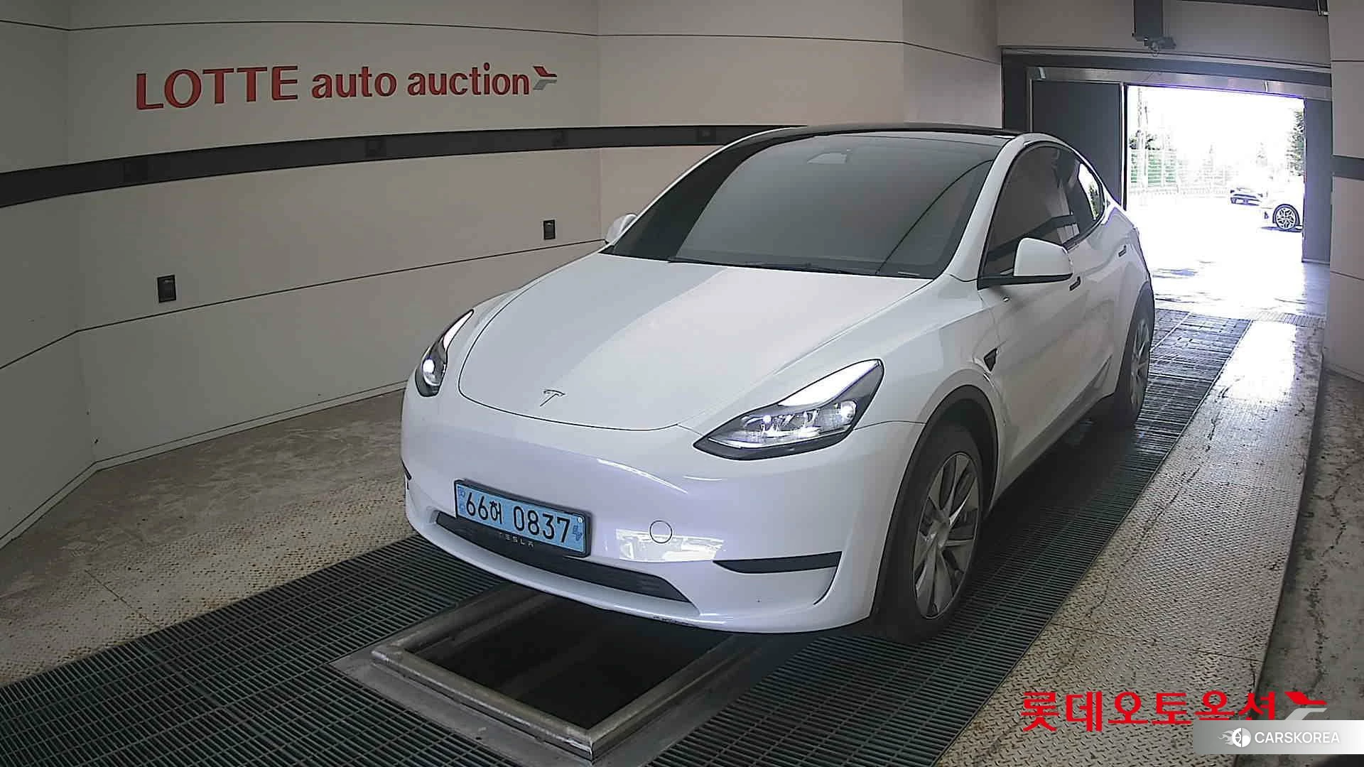 Tesla Model Y RWD 2023 Белый из Кореи