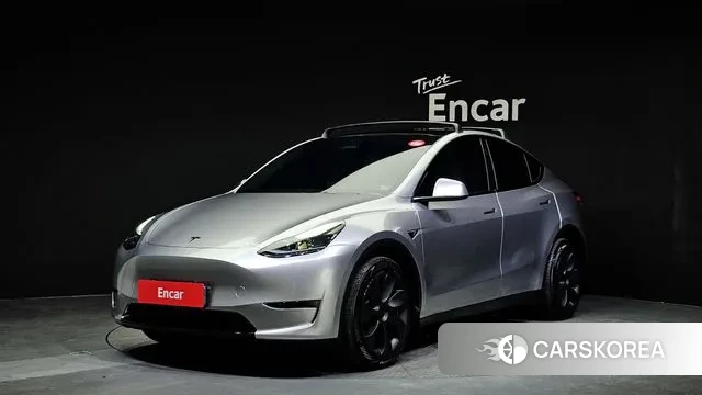 Tesla Model Y 2024 Серебряный из Кореи