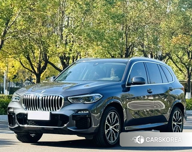 BMW X5 (imported) 2022 Темно-серый из Китая