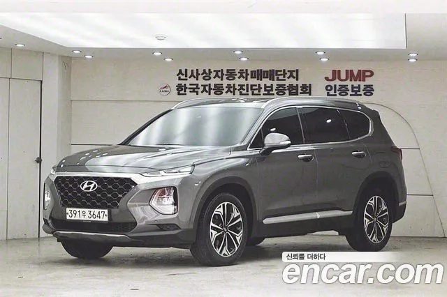 Hyundai Santa Fe TM 2020 Цвет тростника из Кореи