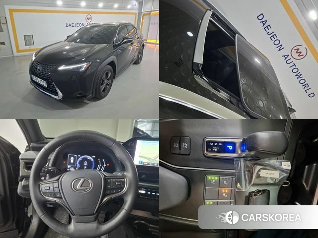 Lexus UX300h 2024 Серый из Кореи