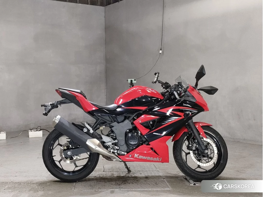 Проданный Kawasaki NINJA 250SL 2015 из Японии, фото 2