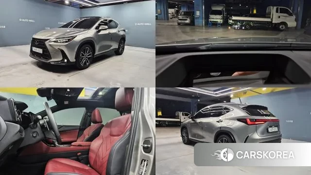 Lexus NX350h Second generation 2024 Песочный из Кореи