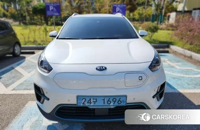 Kia Niro EV 2019 Белый из Кореи